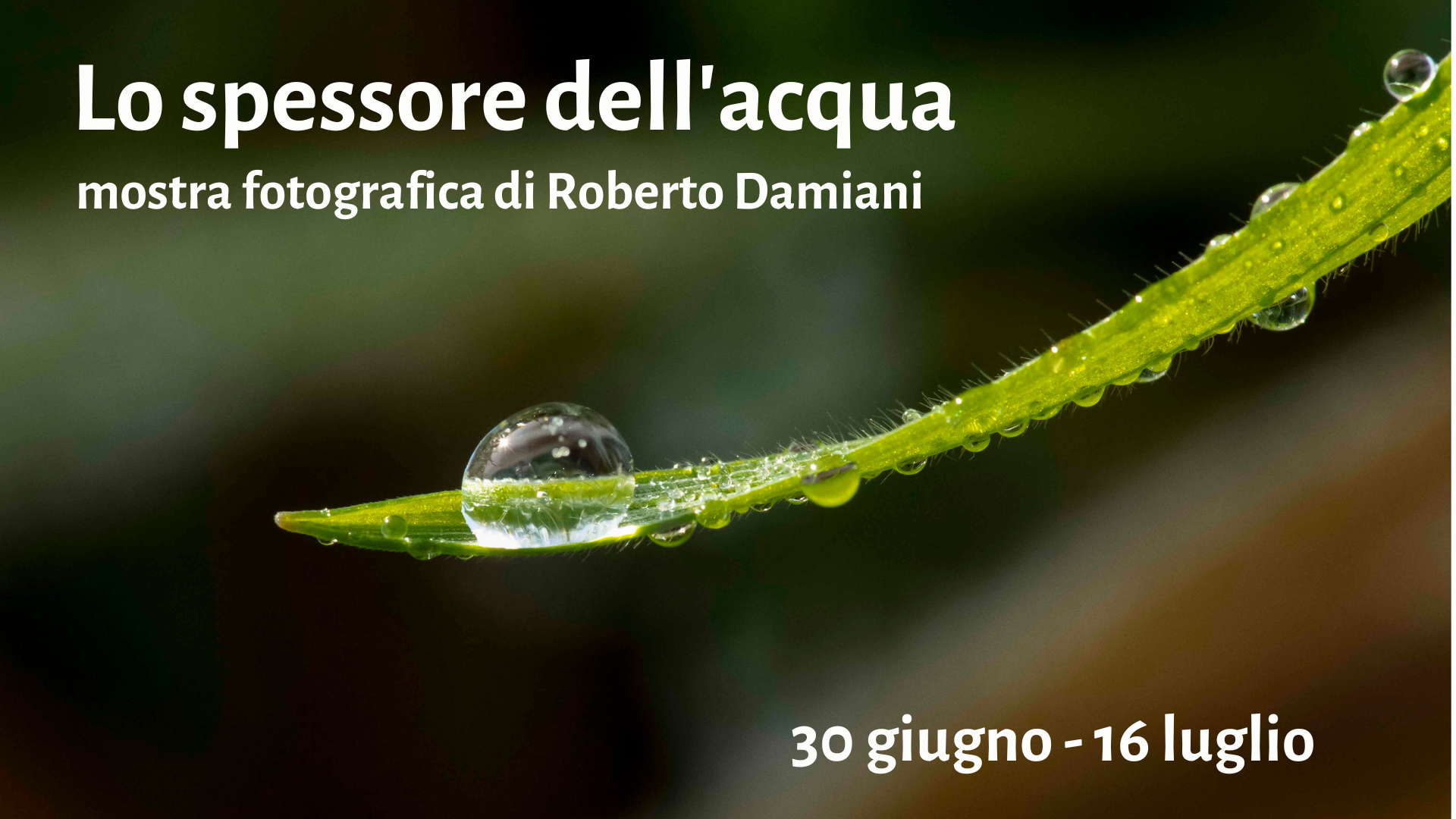 Lo spessore dell'acqua: mostra fotografica