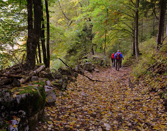 27° Gara di Marcia e Camminata su e giù per la nostra montagna