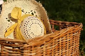 Pic nic country